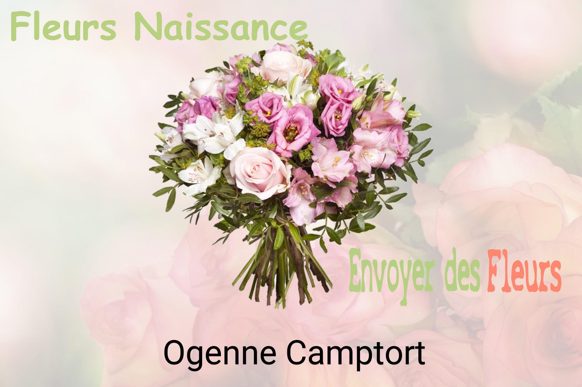 Bouquet de fleurs de naissance livré à Ogenne-Camptort