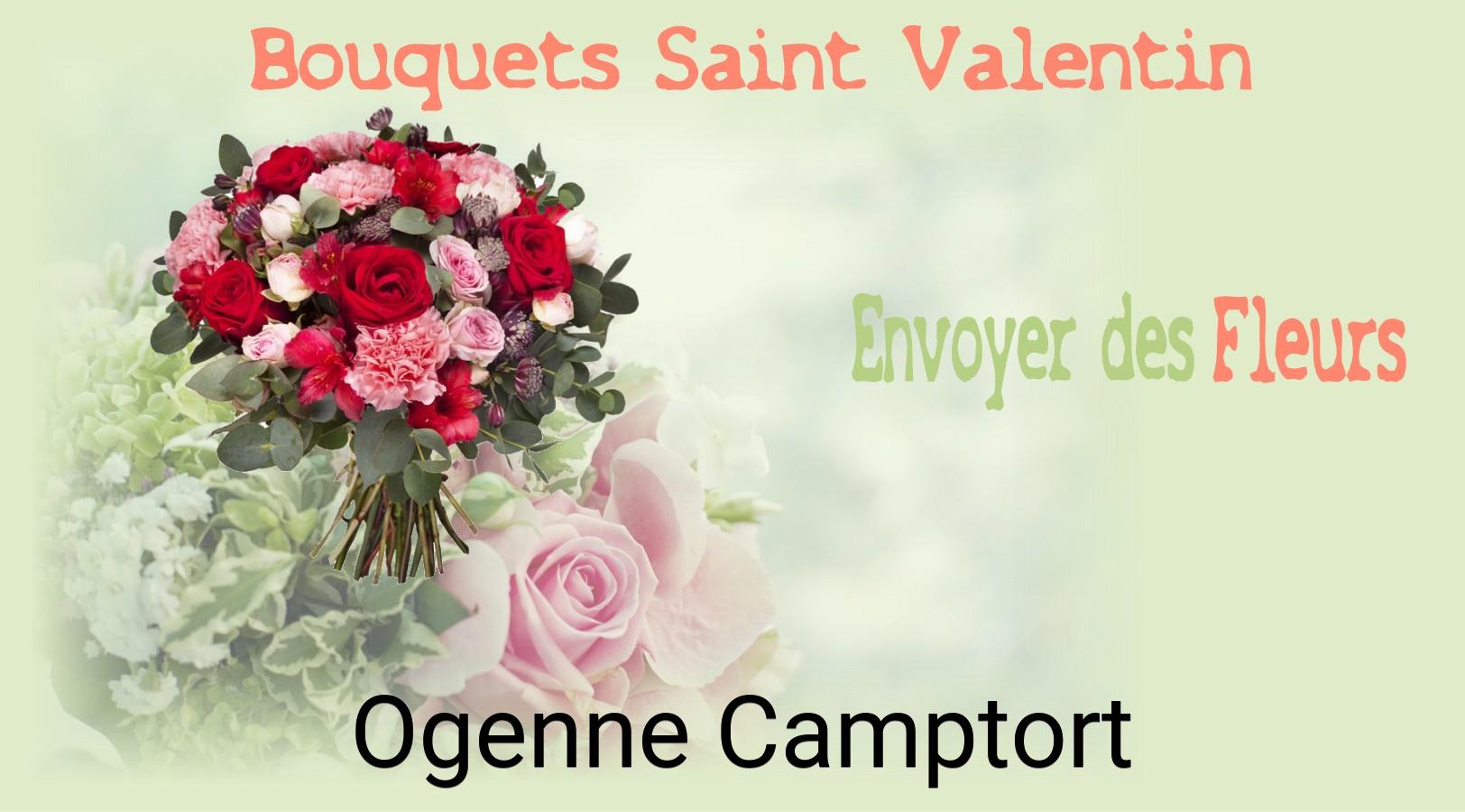 Roses de Saint-Valentin livrées à Ogenne-Camptort
