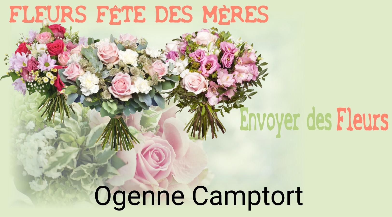 Bouquet de Fête des Mères livré à Ogenne-Camptort